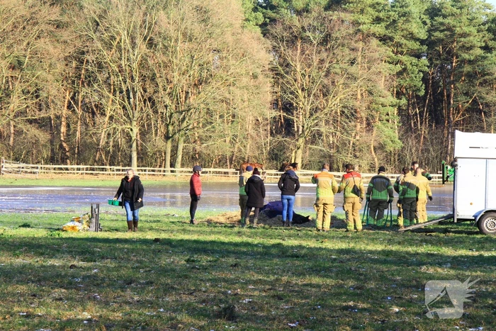 Brandweer ingezet voor een paard in nood