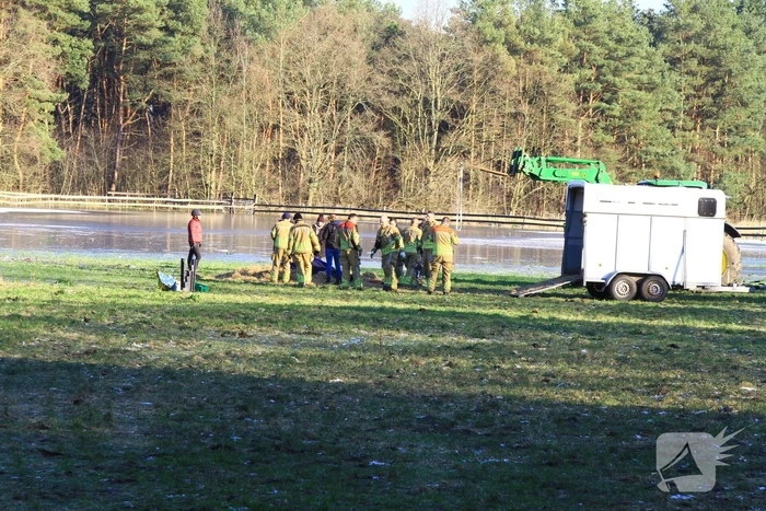 Brandweer ingezet voor een paard in nood
