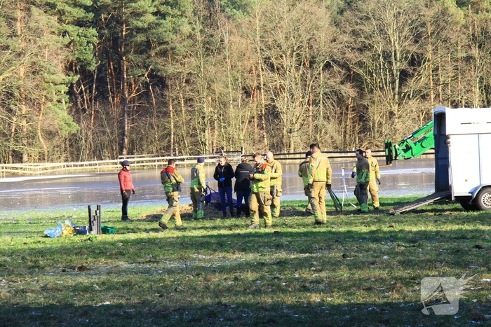 Brandweer ingezet voor een paard in nood