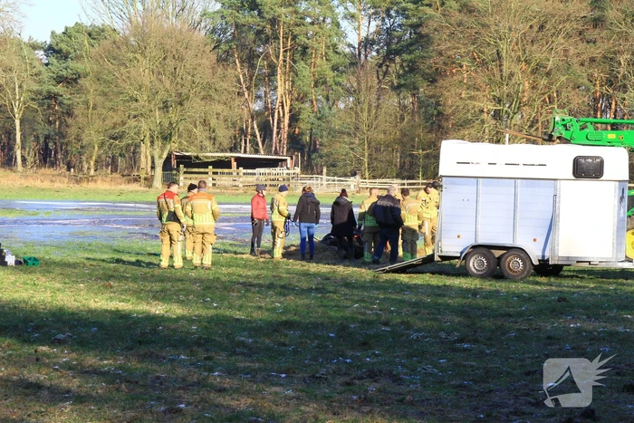 Brandweer ingezet voor een paard in nood