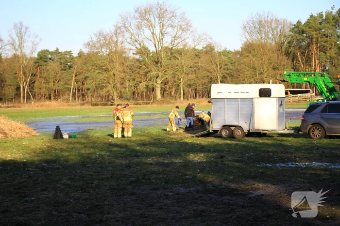 Brandweer ingezet voor een paard in nood