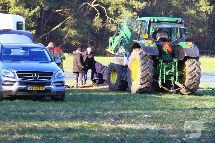 Brandweer ingezet voor een paard in nood