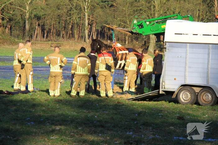 Brandweer ingezet voor een paard in nood