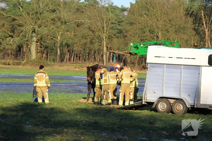 Brandweer ingezet voor een paard in nood