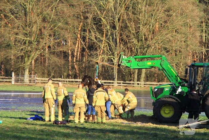 Brandweer ingezet voor een paard in nood