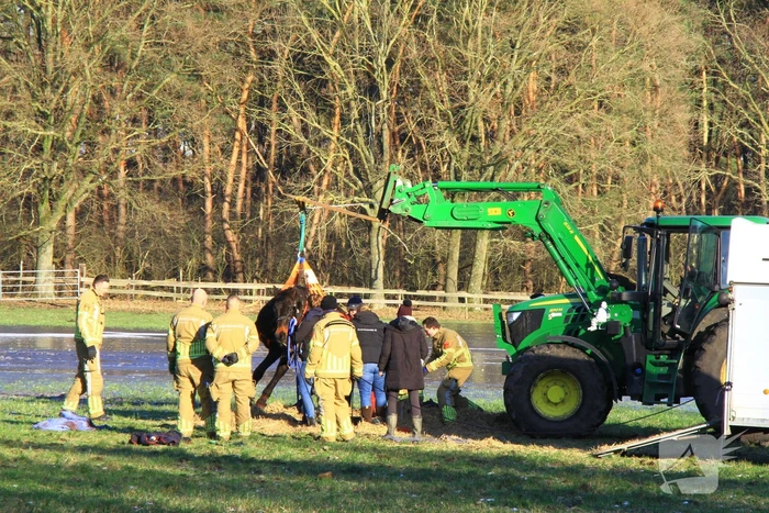 Brandweer ingezet voor een paard in nood