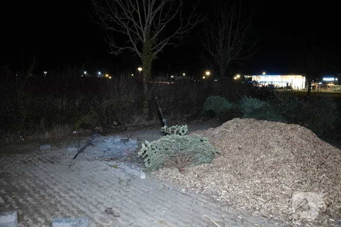 Kerstboom in brand gestoken