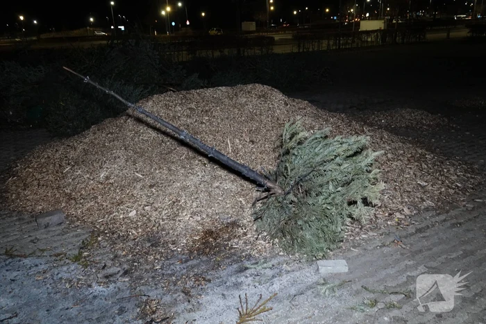 Kerstboom in brand gestoken