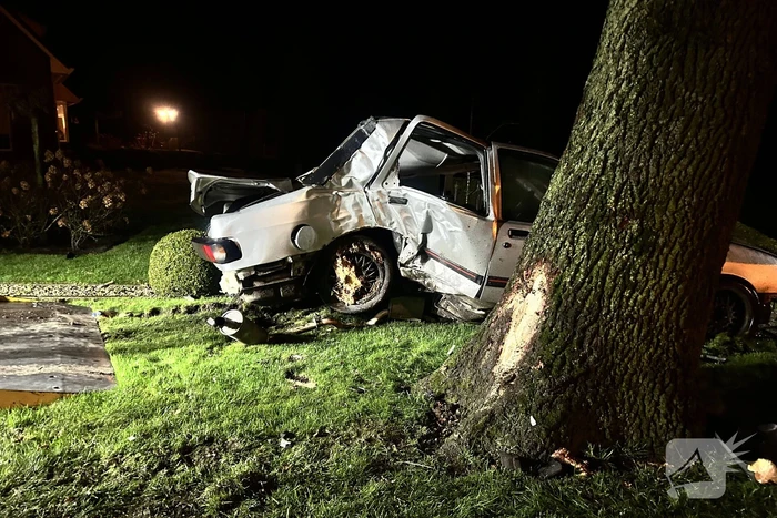 Bestuurder aangehouden na botsing met boom