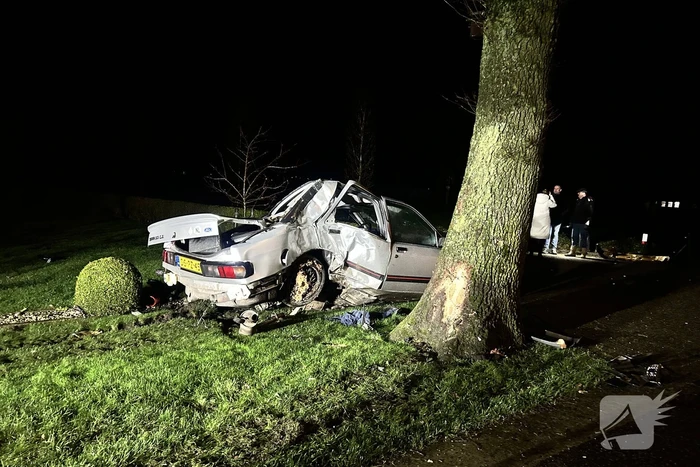 Bestuurder aangehouden na botsing met boom