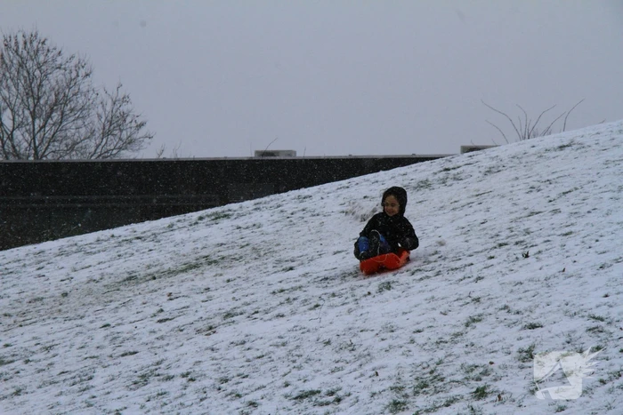Kinderen hebben lol in de sneeuw