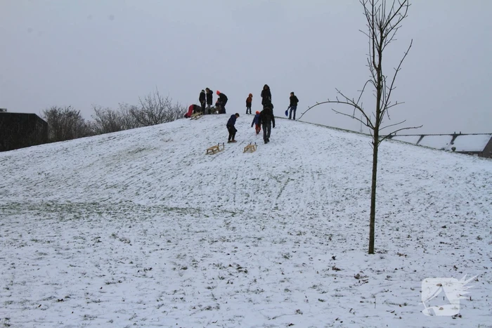 Kinderen hebben lol in de sneeuw