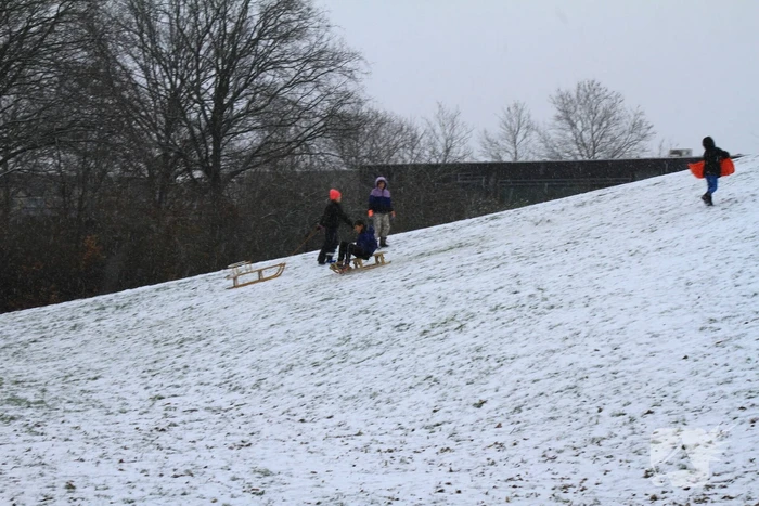 Kinderen hebben lol in de sneeuw