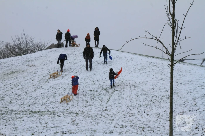 Kinderen hebben lol in de sneeuw