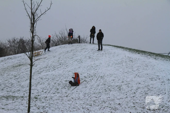 Kinderen hebben lol in de sneeuw