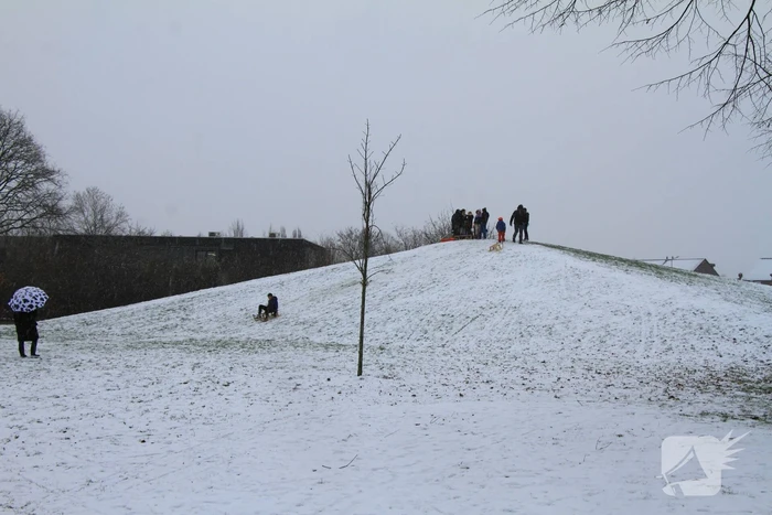 Kinderen hebben lol in de sneeuw