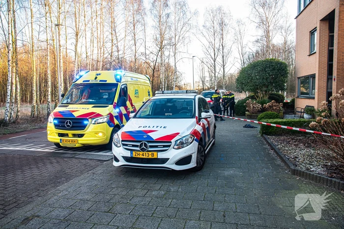 nieuws limes poortugaal