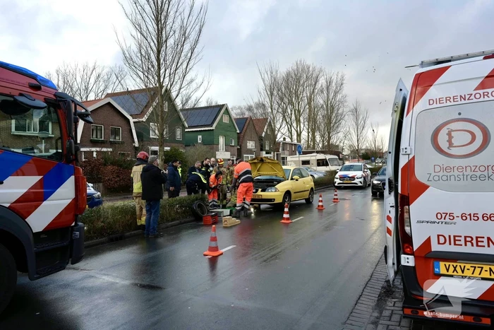 nieuws pieter jelles troelstralaan zaandam