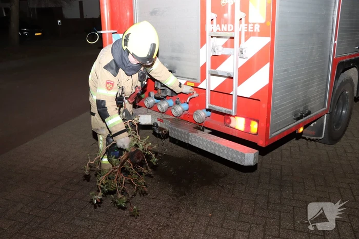 Brandweer ingezet voor brandende plant