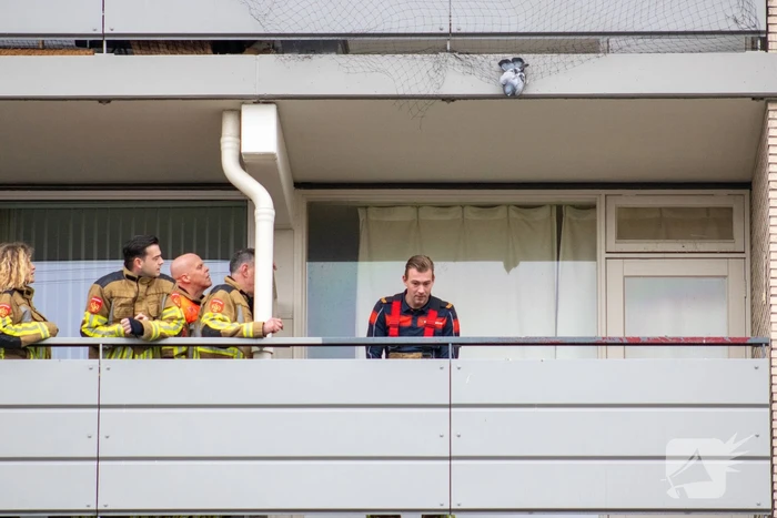 Brandweer redt vastzittende duif