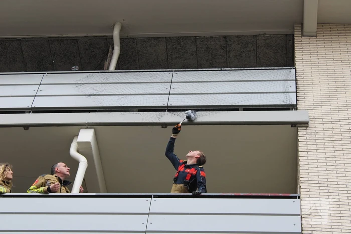 Brandweer redt vastzittende duif