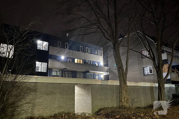 Arrestatieteam ingezet voor verward persoon
