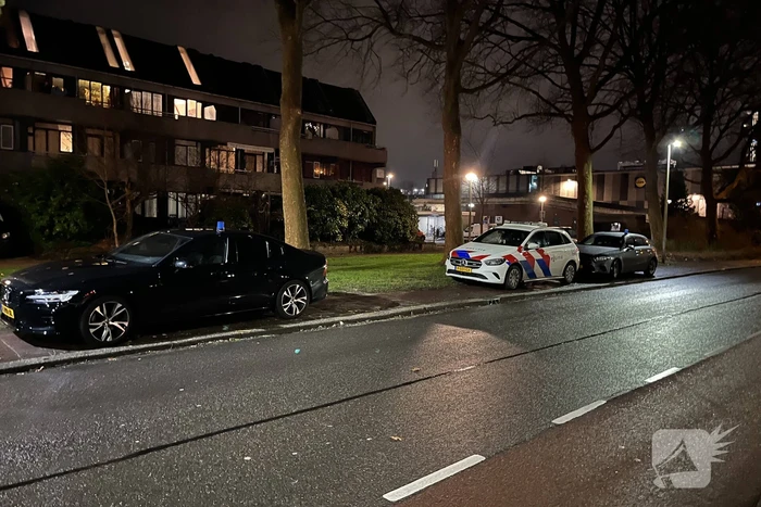 Arrestatieteam ingezet voor verward persoon