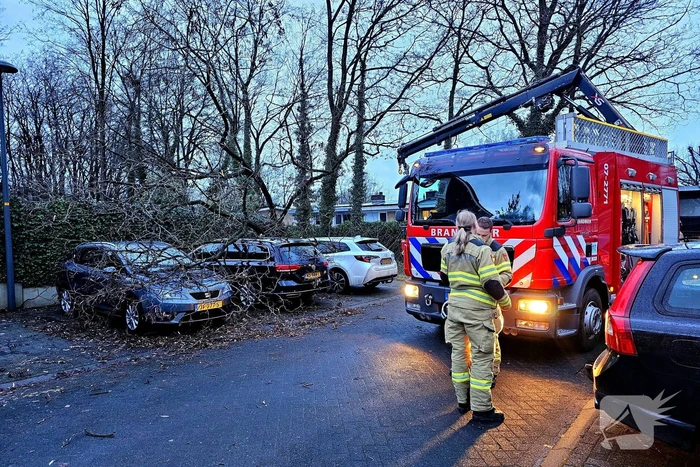 natuur bivak ede