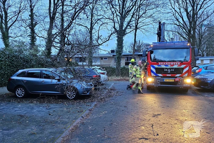 Meerdere auto's beschadigd door omgevallen boom