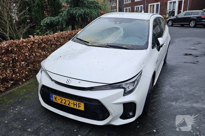 Meerdere auto's beschadigd door omgevallen boom