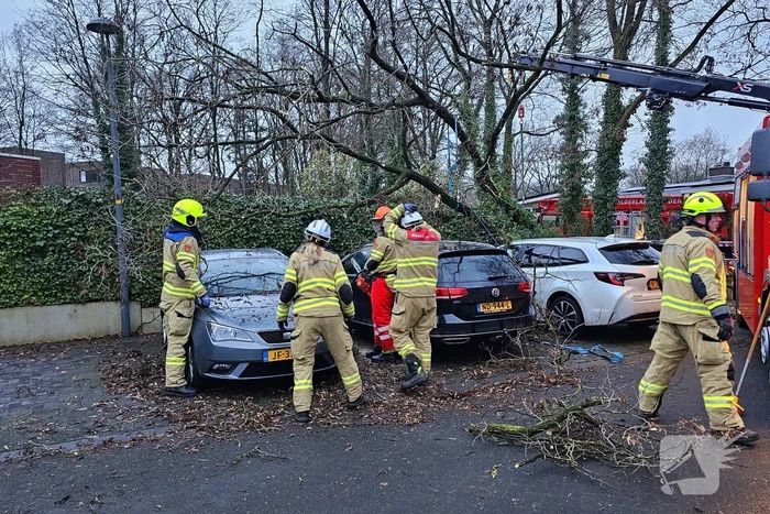 Meerdere auto's beschadigd door omgevallen boom