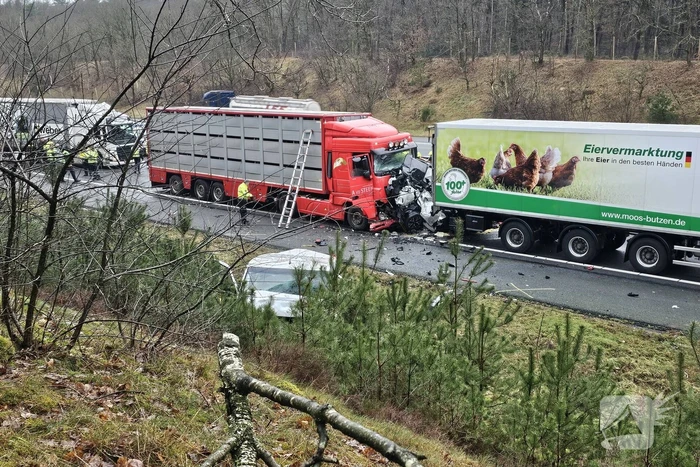 Twee vrachtwagens betrokken bij ernstig ongeval