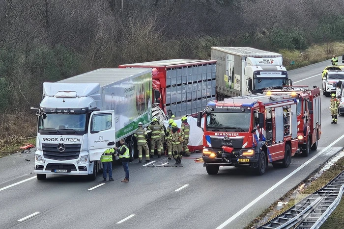Twee vrachtwagens betrokken bij ernstig ongeval