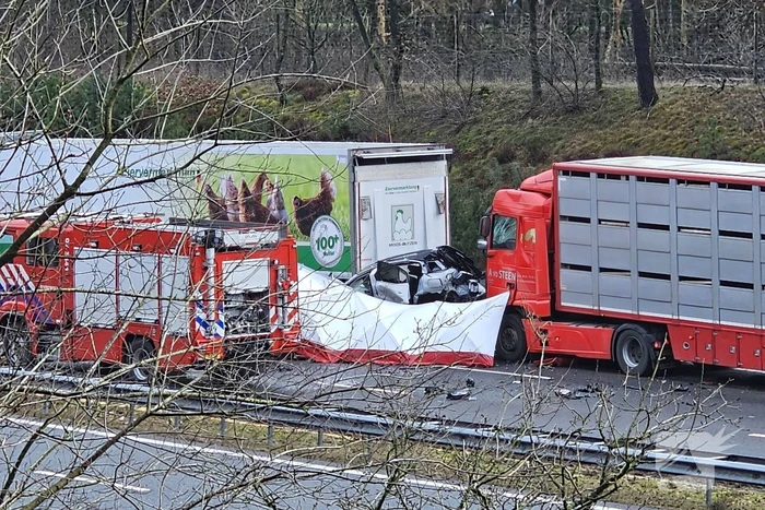 Twee vrachtwagens betrokken bij ernstig ongeval