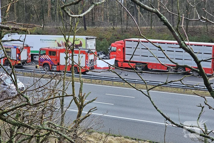 Twee vrachtwagens betrokken bij ernstig ongeval