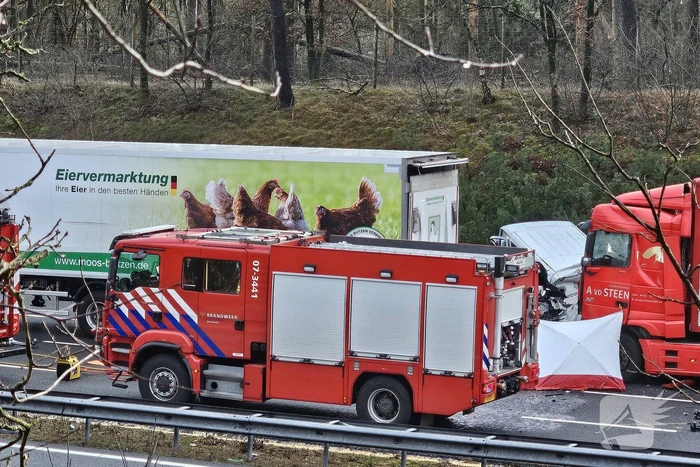 Twee vrachtwagens betrokken bij ernstig ongeval