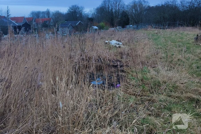 Brand in rietkraag snel onder controle