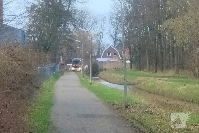 Brand in rietkraag snel onder controle