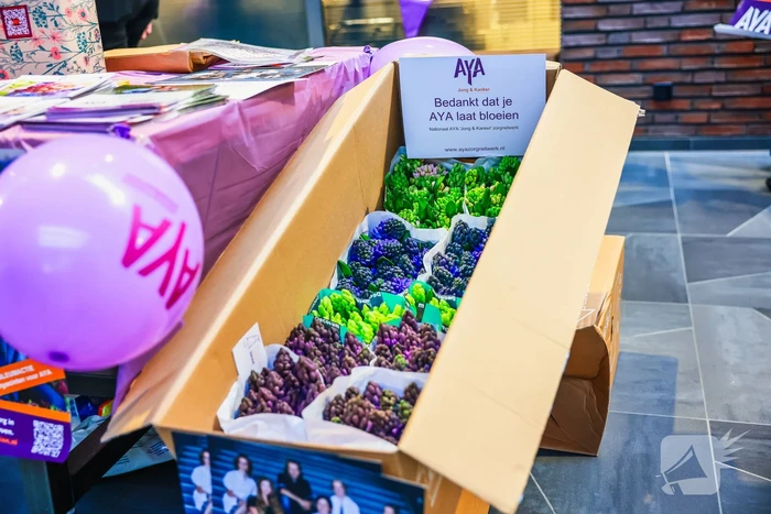 Meander MC steunt actie AYA Foundation met hyacinten-verkoop