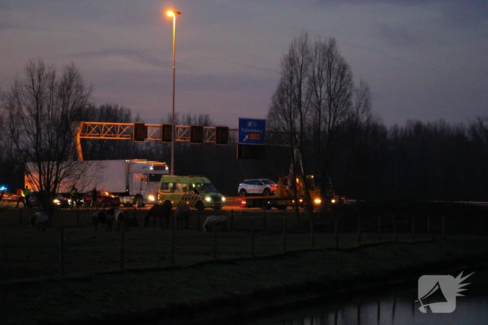 Flinke vertraging door ongeval op snelweg