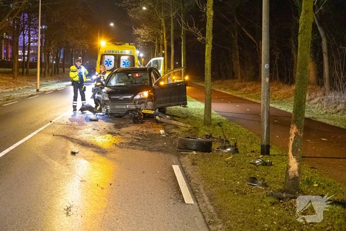 Bestuurder onder invloed botst op boom