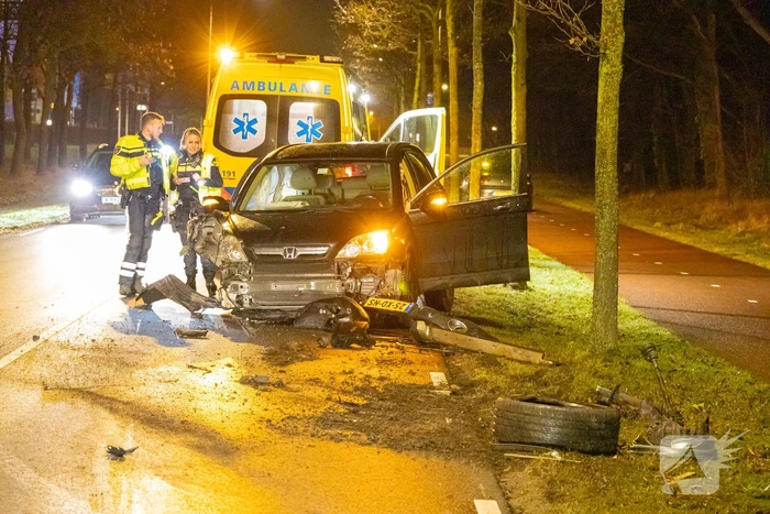 Bestuurder onder invloed botst op boom