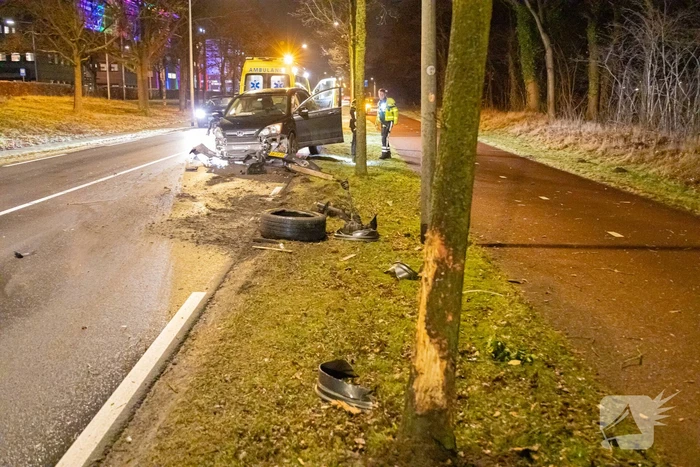 Bestuurder onder invloed botst op boom