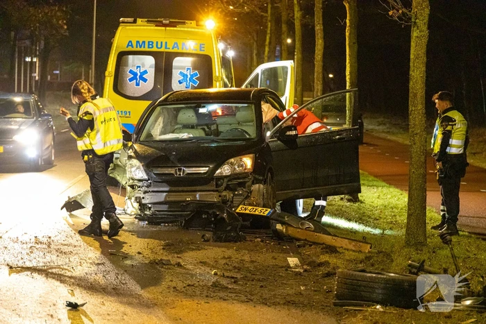 Bestuurder onder invloed botst op boom