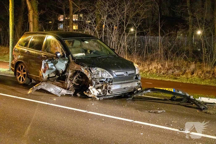 Bestuurder onder invloed botst op boom