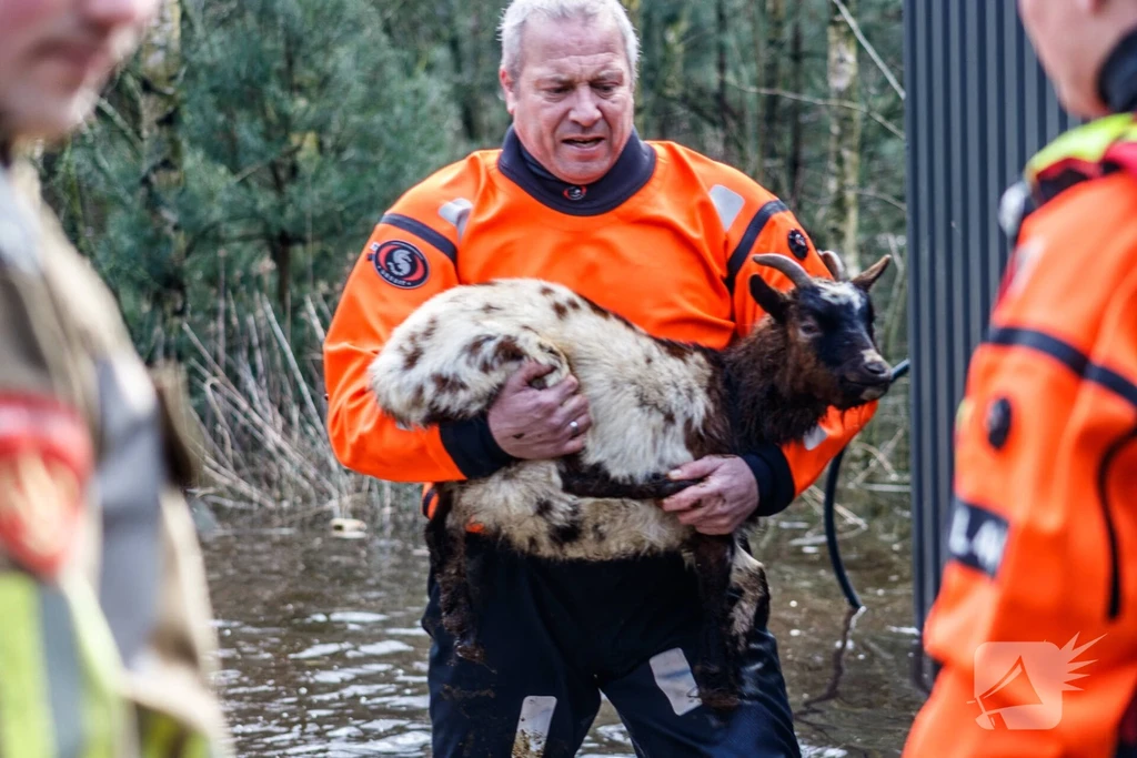 Dongenseweg 112 meldingen Tilburg 