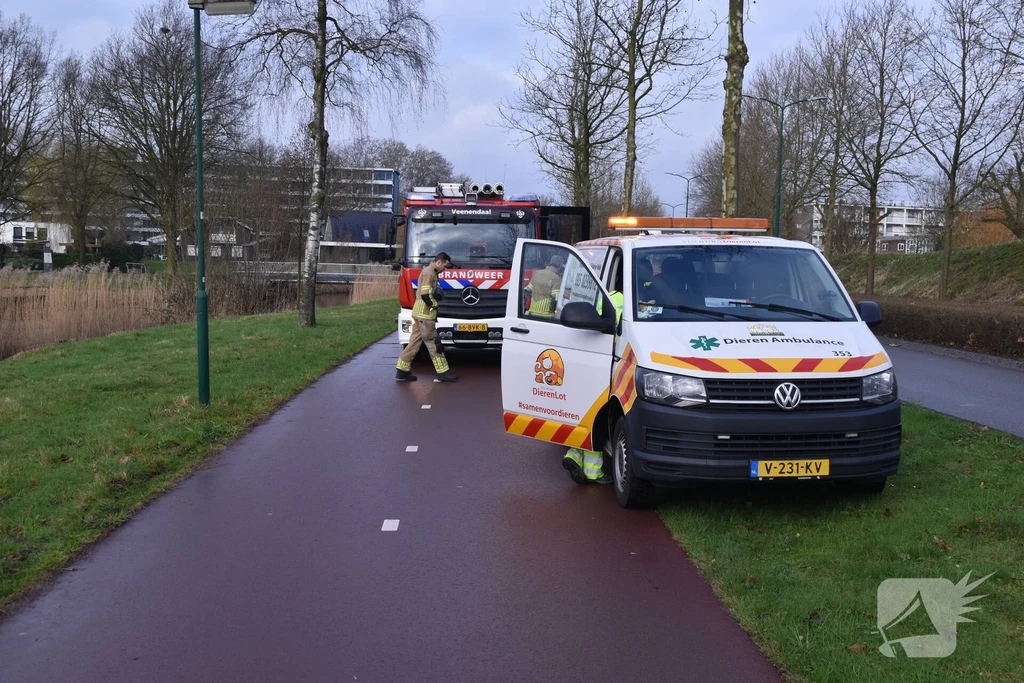 Prins Clauslaan 112 meldingen Veenendaal 