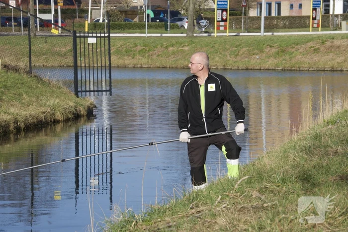 Brandweer haalt gewonde zwaan uit het water