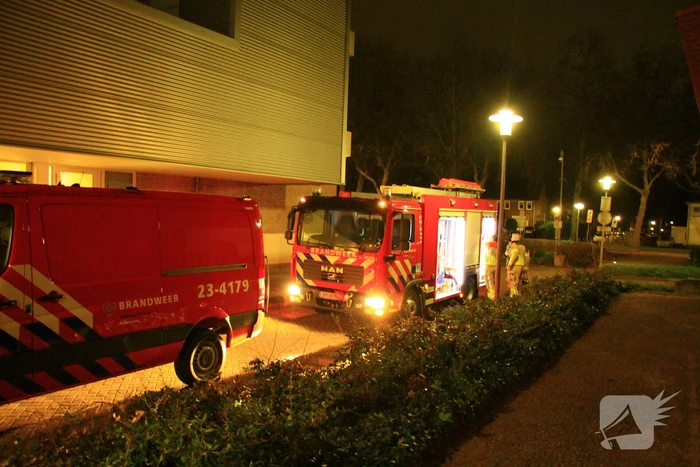 nieuws vogelsbleek weert