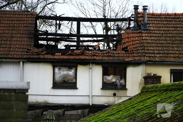 brand doolhofstraat weert